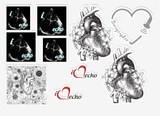 iHeartEcho™ Echo & Anatomical Heart Sticker Sheet