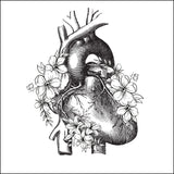 Anatomical Heart Ornament – A Unique Touch