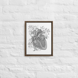 Anatomical Heart Chambers 11x14 Framed Canvas